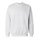 F260 Hanes ASH