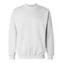 F260 Hanes ASH