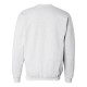 F260 Hanes ASH