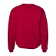 F260 Hanes DEEP RED