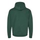 P170 Hanes Athletic Dark Green