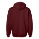 F170 Hanes MAROON