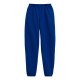 P650 Hanes DEEP ROYAL
