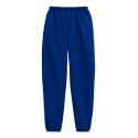 P650 Hanes DEEP ROYAL