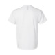 42TB Hanes ECO WHITE