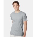 42TB Hanes Silverstone Heather