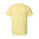 42TB Hanes Lemon Meringue Heather