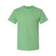 42TB Hanes True Green Heather