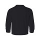 29BLR Jerzees BLACK