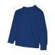 29BLR Jerzees ROYAL