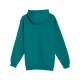 LS19001 Lane Seven TEAL