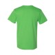 6901 LAT APPLE