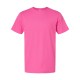 6901 LAT RASPBERRY