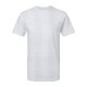 6901 LAT WHITE REPTILE