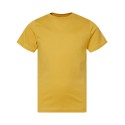 6101 LAT MUSTARD