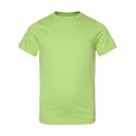 6101 LAT KEY LIME
