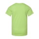 6101 LAT KEY LIME