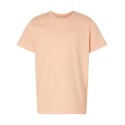 6101 LAT PEACHY