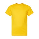 6101 LAT YELLOW