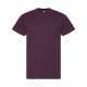 6101 LAT PLUM