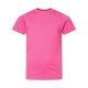 6101 LAT RASPBERRY