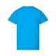 6101 LAT TURQUOISE