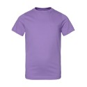 6101 LAT LAVENDER