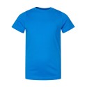 6101 LAT COBALT