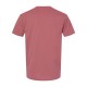 3600 Next Level Apparel MAUVE