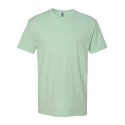 6210 Next Level Apparel MINT