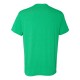6010 Next Level Apparel ENVY