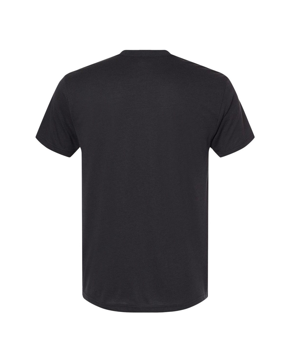 Next Level Apparel 6010 Triblend T-Shirt