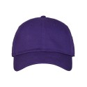 GB210 The Game PURPLE