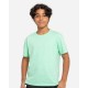 T1000B Threadfast Apparel MINT GREEN