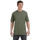 C4017 Comfort Colors SAGE