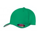 C813 Port Authority KELLY GREEN