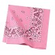 C842 Port Authority Bright Pink Paisley